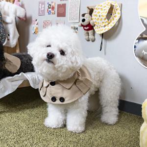 강아지 트렌치 케이프 베이지 반려동물 봄가을 악세사리