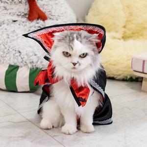 강아지 고양이 할로윈 드라큘라 망토 뱀파이어 흡혈귀 반려동물 코스튬