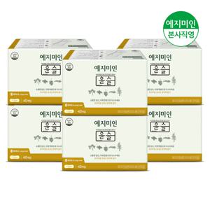 한방 윤슬 롱 팬티라이너 40Px6팩