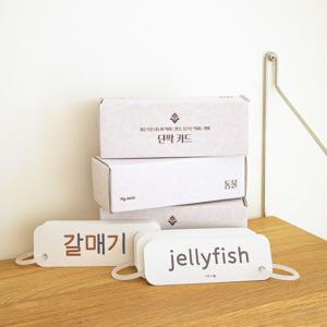 글자 단짝카드 3종세트 동물 사물 자연 세이펜 호환 낱말카드 한글 영어