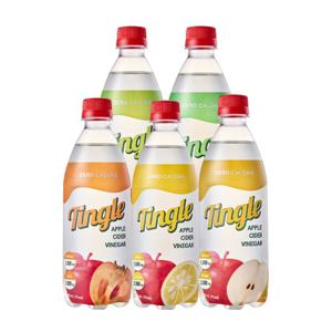 팅글 애사비소다(배/유자/메론/깔라만시/감) 골라담기 500mL X 20pet