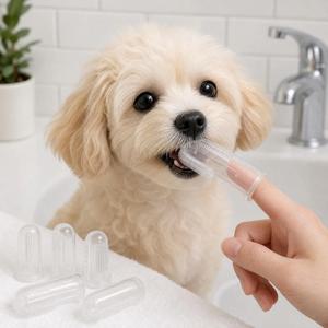 강아지칫솔 실리콘 치석제거 고양이 손가락칫솔 양치