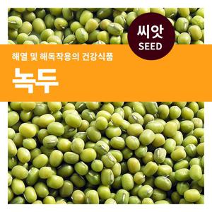 녹두 씨앗 30g 녹두씨 콩키우기 주말농장 베란다 텃밭