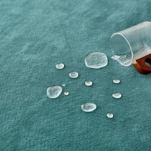 바라롱 발수 러그 부드러운 논슬립 방수 카페트 타원형