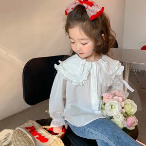 빅 프릴 카라 블라우스 R28509