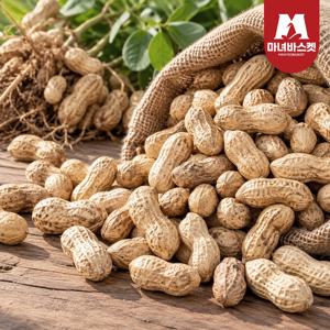 산지직송 국내산 햇 생 땅콩 5kg