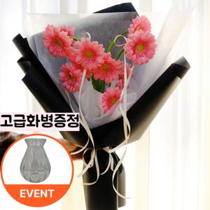 핑크 거베라 발레코어 생화 꽃다발 화병 중형 40cm~ 기념일 생일선물 인테리어 꽃꽂이