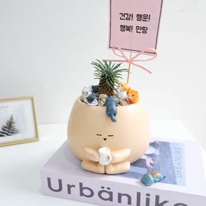 파인애플 선인장 괴마옥 (소) 기영이화분 팻말 고양이 - 공기정화식물 개업선물 생일 승진