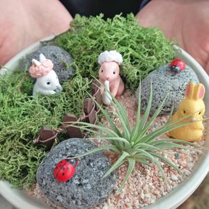 토끼들의 작당모의 DIY 테라리움 모스 이오난사 세트 카드메세지 공기정화식물 개업 승진