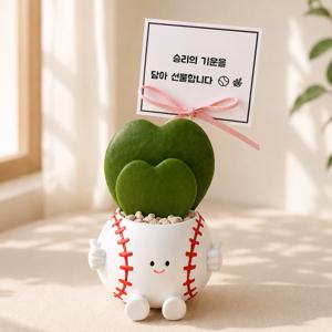 승리요정 하트호야 야구화분 미니화분 개업 승진 생일 축하 공기정화식물 퇴사 응원