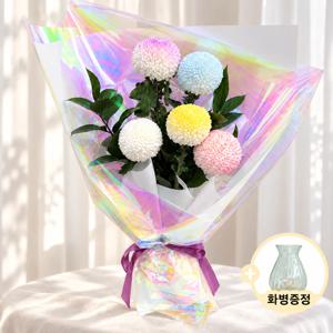 몽글몽글 파스텔 퐁퐁 국화 귀여운 생화 꽃다발 화병 꽃배송 꽃배달 생일 축하 졸업 꽃배달