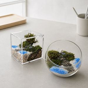 숲속의온기 비단이끼 테라리움 DIY 만들기 키트 (개방형/말폐형)