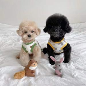 애니멀 프린트 고양이 강아지 나시 옷 민소매
