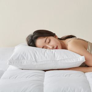 폴란드 구스베개 거위털 베개 경추형 일반형