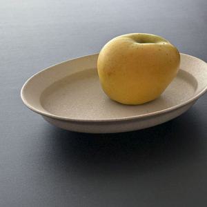 테라 오발 deep플레이트 23.7cm 카레그릇