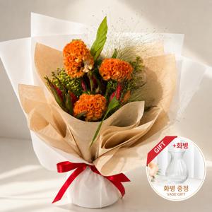 선명한 마음을 한 다발 맨드라미 꽃다발 화병 꽃배달 생화 꽃다발 생일 축하 가을