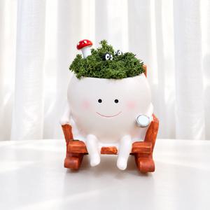 머리 위 작은 숲 흔들의자 천연이끼 모스 개업화분 미니화분 공기정화식물 승진선물 크리스마스