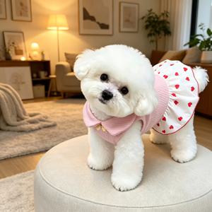 애완견 고양이 드레스, 귀여운 하트 프린트 애완동물 스커트, 고양이/강아지에게 적합, 여름 통기성 민소매 강아지 옷, 달콤한 강아지 옷, 비숑, 테디 및 기타 소형견 및 고양이에 적합