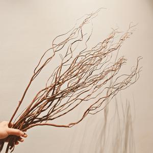 내추럴 브라운 곱슬 버드나무 가지 6개, 키 큰 꼬인 건조 나뭇가지, 바닥 장식, 스타일 인테리어, 거실 코너 장식대, 모던 러스틱 홈 스타일링에 적합