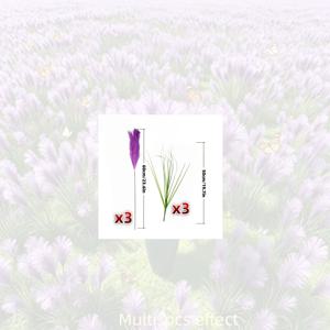 6개 대형 높이 보라색 팜파스 그라스, 갈대 포함, 녹색 식물, 실물 같은 야외 플라스틱 식물 - 용기 없음, 유지 보수 불필요. 마당, 테라스, 야외 울타리, 정원 경계, 상점 창문, UV 저항에 적합