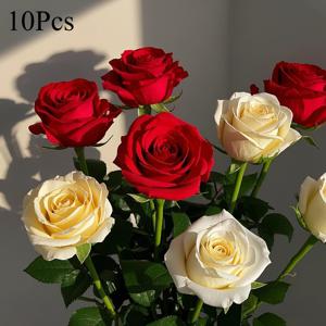10송이 인조 장미 - 리얼한 긴 줄기 인조 장미, 웨딩, 어버이날, 할로윈, 크리스마스, 홈 데코, 축제 테이블 센터피스에 적합. 거실과 가든 파티를 위한 관리가 쉬운 우아한 선물, 생동감 넘치는 혼합 컬러와 자연스러운 잎사귀