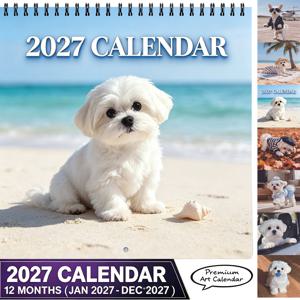 2027년 귀여운 말테즈 강아지 벽걸이 달력 8.3인치 정사각형 벽걸이 달력 산뜻한 해변 스타일 월별 벽걸이 달력 홈 오피스 벽 장식 벽걸이 달력 크리스마스 새해 선물 할로윈 기념품 신학기 선물 교사 학생용