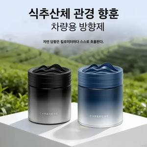 1+1 차량용 방향제 - 차량용 방향제, 오래 지속되는 향기, 고체 향수, 가정 및 가구, 냄새 제거 및 탈취제
