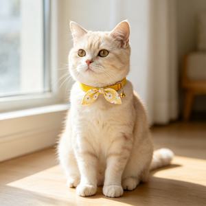 꽃 스카프 매듭과 방울이 달린 분리형 고양이 목걸이 1개 - 소형견과 고양이에게 적합한 PP 목걸이, 암컷 아기 고양이용 퀵 릴리스 목걸이, 반려동물용 방울 목걸이, 소형 견종 고양이와 강아지용
