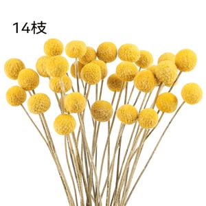 14개 발렌타인데이 시뮬레이션 구형 꽃, 노란색, 분홍색, 흰색, 자유로운 조합 - 웨딩 홈, 꽃병 플로럴 어레인지먼트, 여름 파티 테마 장식, 핸드메이드, 선물, 다양한 휴일에 일반적으로 적용