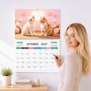 2027년 신상 고양이 테마 캘린더, 생생한 색상과 풍부한 패턴, 11.3X8.3인치 걸이형 캘린더, 12개월 플래너, 학습 스케줄, 가정 및 사무실 사용, 데일리 플래닝