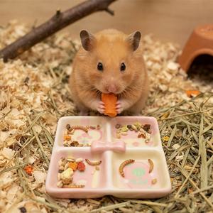 햄스터 먹이 그릇, 4칸 분리형 소형 애완 동물 음식 트레이, 3D 리본 장식 꽃무늬 안티 팁 스낵 피더 플레이트 (시리아 햄스터, 초소형 햄스터, 저빌, 쥐, 소형 동물 케이지 서식지 장식 용품)