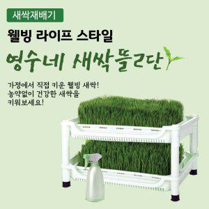 영수네 새싹재배기 2단 새싹보리재배기/보리씨앗증정