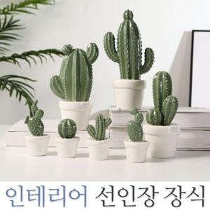 선인장 장식 미니어처 선반장식 소품 쥬얼리보관함
