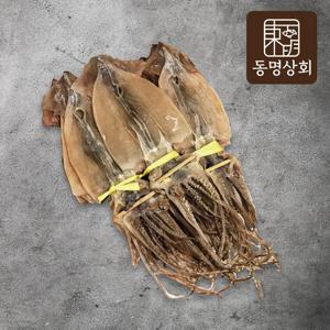 국내산 동해안 마른오징어/건오징어 10미 (500g 내외)