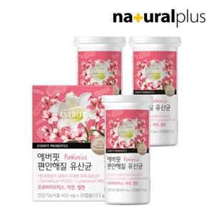 에버핏 편안해질 여성 질유래 유산균 3통/ 여성유산균