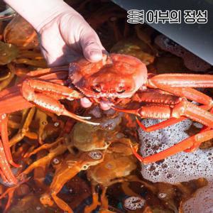 [어부의정성] 정품 제철 홍게 10마리(수율 80%)