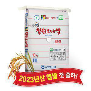 당일도정 동철원농협 철원오대쌀 10kg, 2023년산