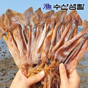 [수산생활] 국내산 동해 쫄쫄이 오징어 300g (10미) 중량우선
