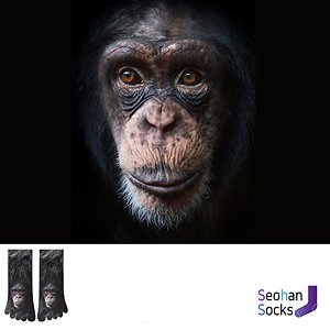 침팬지가 프린트된 단목 발가락 양말 1족