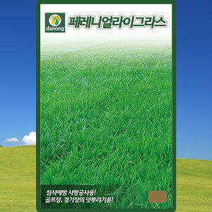 페레니얼라이그라스 잔디 씨앗 1kg 공원 골프장 덧뿌리기용 잔디씨 종자