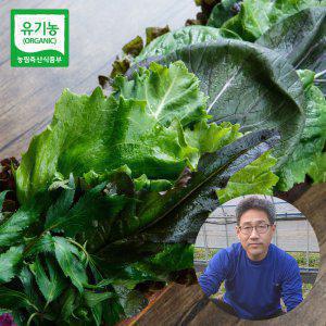 유기농 야채 샐러드 모듬 쌈 채소 800g 당일수확