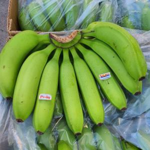 청바나나 요리용 그린 바나나 6.5kg  13kg