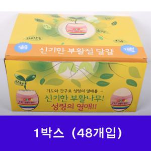  고집쟁이녀석들  성령의열매 콩키우기 달걀모양 화분 계란화분 박스 601002
