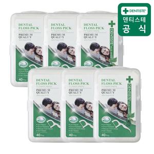 덴티스테 스틱형 치실 40P 6개