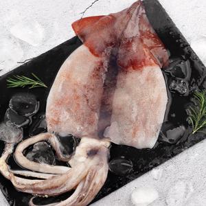 국내산 생물 통 오징어1kg / 급냉 손질 오징어(중/소)