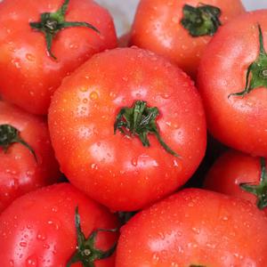 [산지직송] 100% 국내산 세계 10대 슈퍼푸드 완숙 토마토 2kg (8-14과)