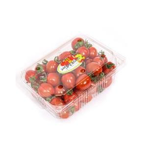 산지직송 국내산 대추방울 토마토 750g x 1팩