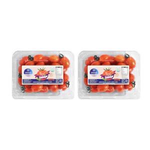 [신세계몰]국내산 스테비아 대추 방울 토마토 (토망고) 500g x 2팩 (총 1kg) 산지직송