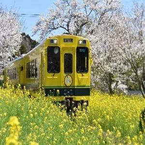 [ 일본 철도 전문가와 함께하는] 색다른 철도여행! 일본여행 4일#알펜루트 #겐로쿠엔 #철도투어 # 게로온천