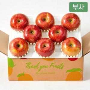 갤러리아_[수플린] 아삭달콤 경북 고당도 부사 사과 과일선물 2kg(8-10과)